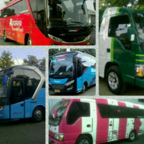 Sewa Elf Jabodetabek